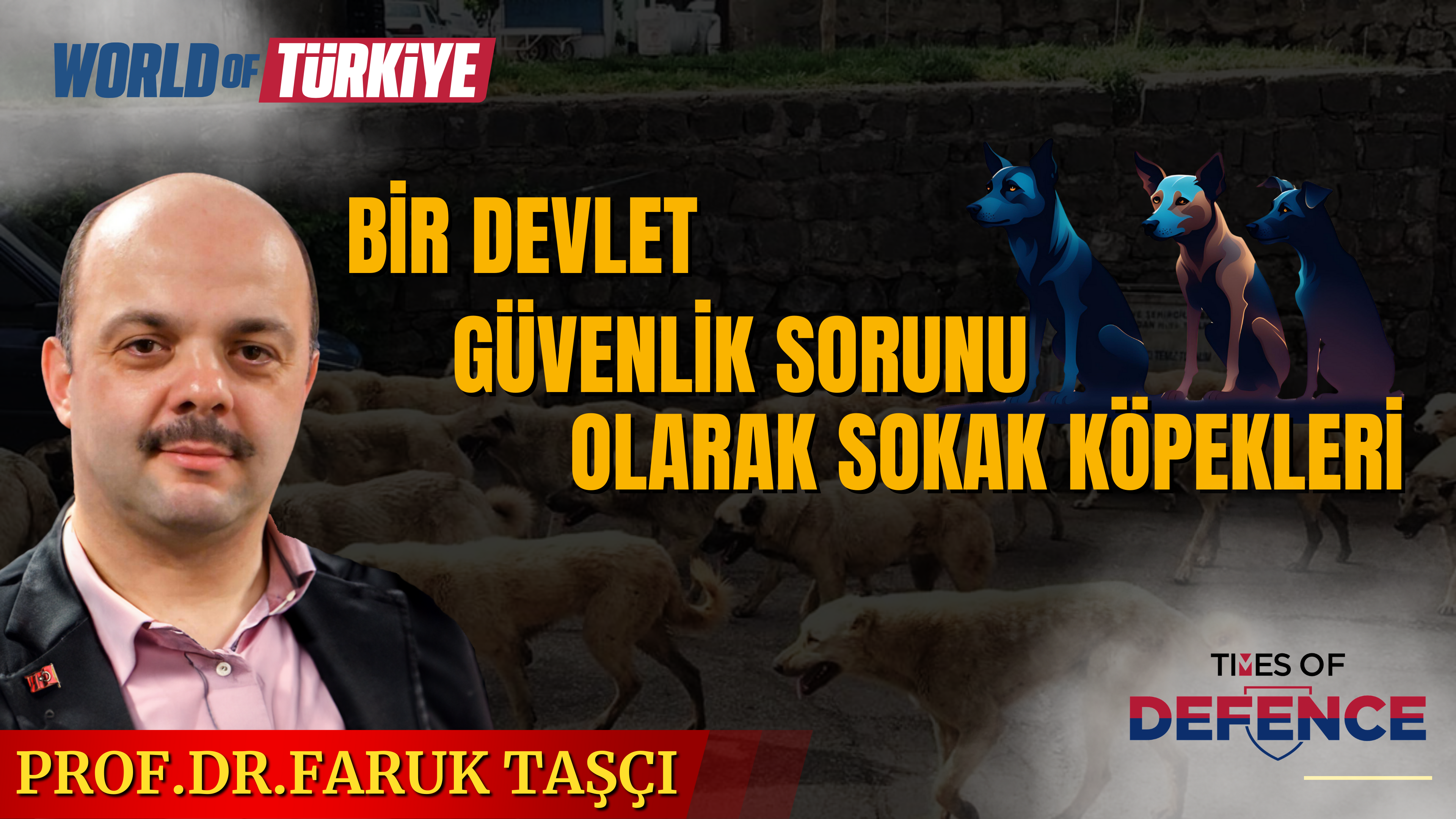 Bir Devlet Güvenlik Sorunu Olarak Sokak Köpekleri