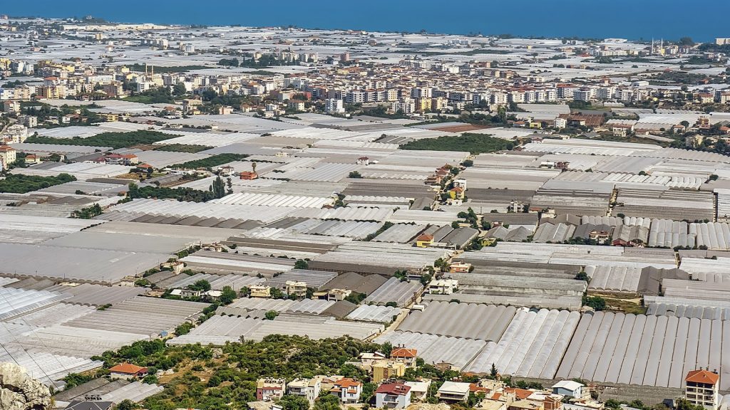 Antalya’dan Türkiye’ye Tarım Saldırısı Alarmı! GDO’lu ve Hastalıklı Tohum Krizi