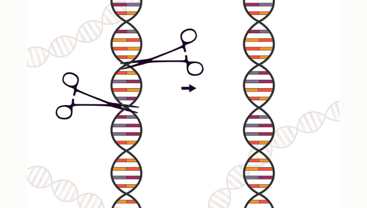 CRISPR Güvenliği için Yeni Nesil Moleküler Fren Sistemi Geliştirildi