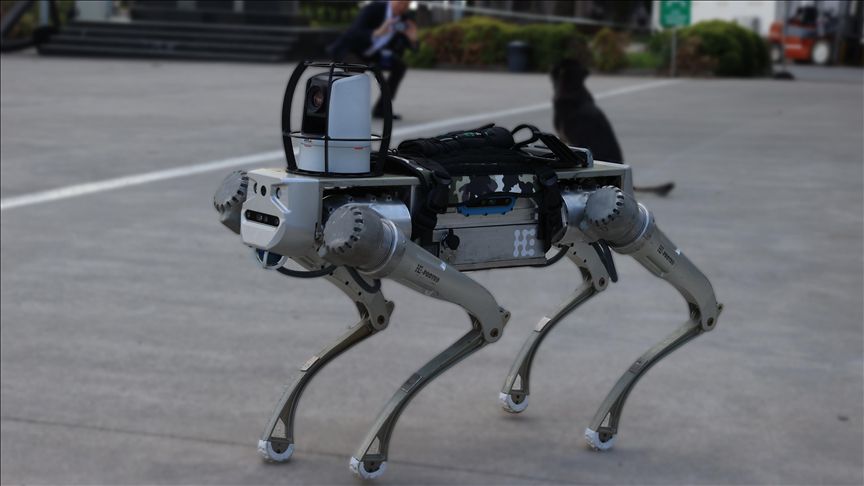 Milli Robot Köpek 2026 Başında Göreve Hazır Olacak